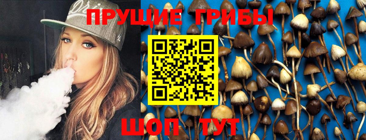 Кизилюрт  Псилоцибиновые грибы прущие грибы  купить   Вход с VPN 